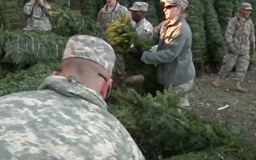 4-2 SBCT Soldiers aid in Trees for Troops Program