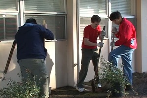 Benicia Armory Beautification Project