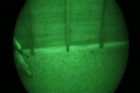 Ragnarok Company Conducts Night Operations
