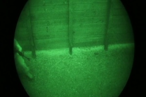 Ragnarok Company Conducts Night Operations