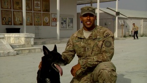 Sgt.  Vickers