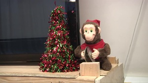 Holiday Greetings from NATO Multinational Medical Unit Role 3 Hospital