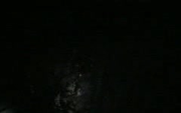 Dutch PIW Lake Ontario