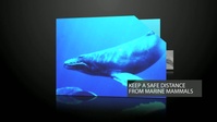 Admiral Thomas' Marine Mammal Public Service Announcement