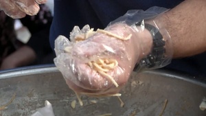 Air Force Report: Feeding the Homeless