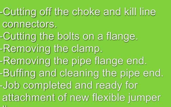 100523 ROV Update with Audio