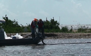 Cocodrie Operating Area