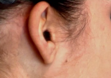 Apache Maintainers - Short