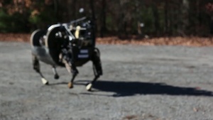 With the Gear — Call in the Robotic Cavalry