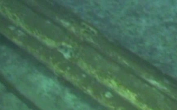 111004-G-OOOOX-003 ROV FOOTAGE #3