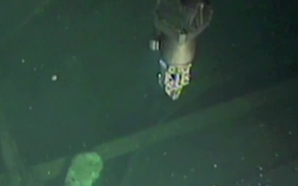 111004-G-OOOOX-004 ROV FOOTAGE #4