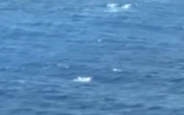 Hawaii News Now news feature