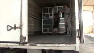Military Working Dogs