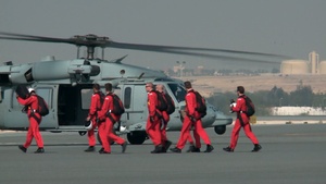 Bahrain International Airshow 2014 (Arrivals, Practice)