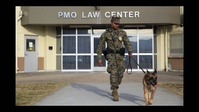 A Marine's best friend