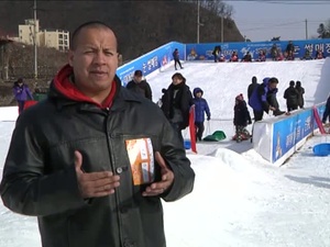 Winter Ice Festival