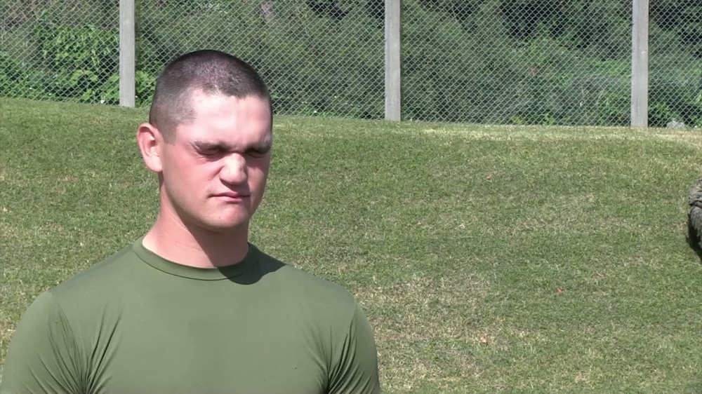 DVIDS Video Taser and OC Spray Training