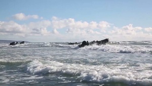 JGSDF Conduct Amphibious Raid Training