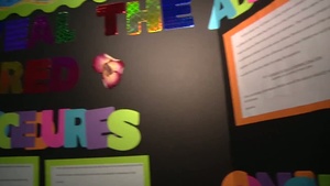 STEM: All things science