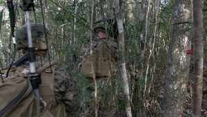 MEUEX Tactical Recovery of Aircraft and Personnel