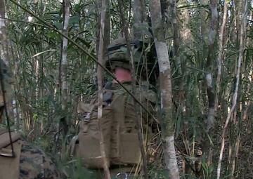 MEUEX Tactical Recovery of Aircraft and Personnel