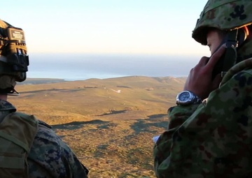 1st ANGLICO, JGSDF Train on San Clemente Island