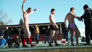 Polar Bear Dip