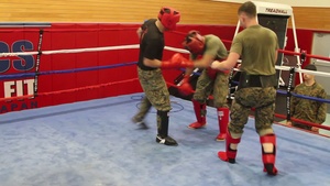 Free Sparring B-Roll