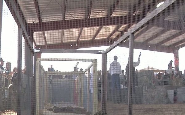 2014 Claxton Rattlesnake Roundup