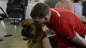 Marine's Best Friend