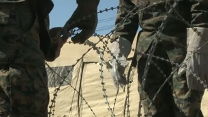 Marine Expeditionary Force Exercise