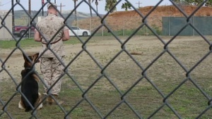 1st Law Enforcement Battalion K-9 Training