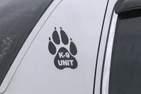 181st Intelligence Wing host K9 training