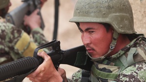 Brig. Gen. Yoo, Sgt. Maj. Berry and CMDCM Dominguez MLB Shout-out