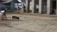 Marine Finds Strength in Furry Companion