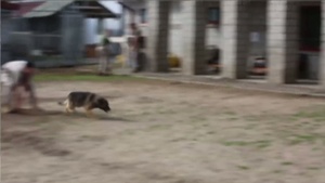 Marine Finds Strength in Furry Companion