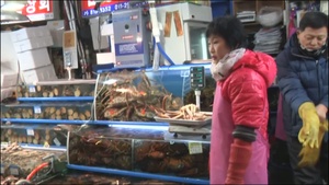 Korea Update: Fish Market