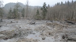 Oso Mudslide