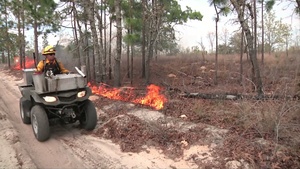 Prescribed Burn at Camp Blanding