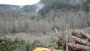 Oso Washington Mudslide
