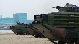 Amphibious Landing Training Rehearsal, SSang Young 2014, B-roll