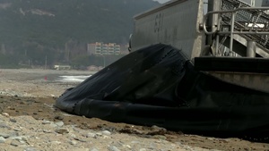 Combined Amphibious Landing Ssang Yong 14