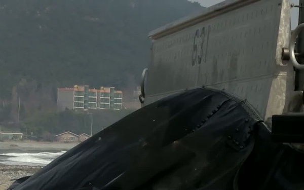 Combined Amphibious Landing Ssang Yong 14