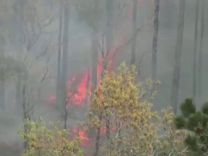 Minuteman Report: Preparing for Wildfire Season