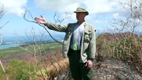 Fire Clears Way for Historical Research