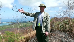Fire Clears Way for Historical Research