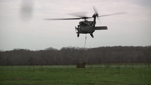 Operation Golden Eagle 2014