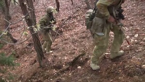 Australian Raid