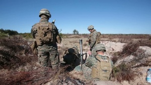 Summer Shield Concludes with Two Live Fires Demonstrating Synchronized Attack from Three Countries