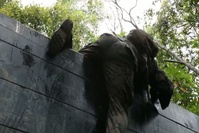Marines Conquer Harshest Jungle Environment in the Department of Defense